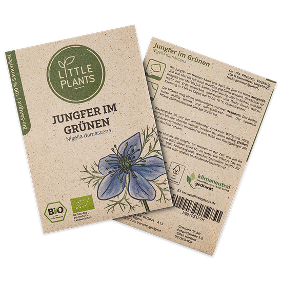 Bio-Jungfer im Grünen (Nigella damascena) | 175 Pflanzen