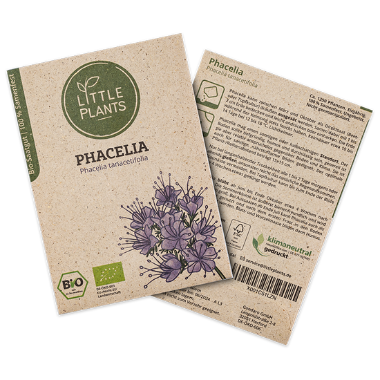Bio-Phacelia (Phacelia tanacetifolia) | 1250 Pflanzen