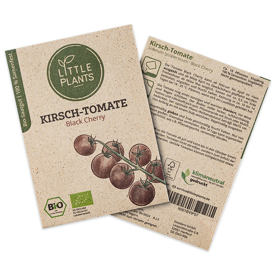 Bio-Tomate Black Cherry (Solanum lycopersicum) | Alte Sorte | 15 Pflanzen
