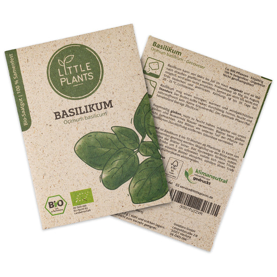 Bio-Basilikum (Ocimum basilicum) Genoveser | 800 Pflanzen