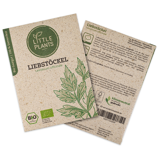 Bio-Liebstöckel (Levisticum officinale) | 80 Pflanzen