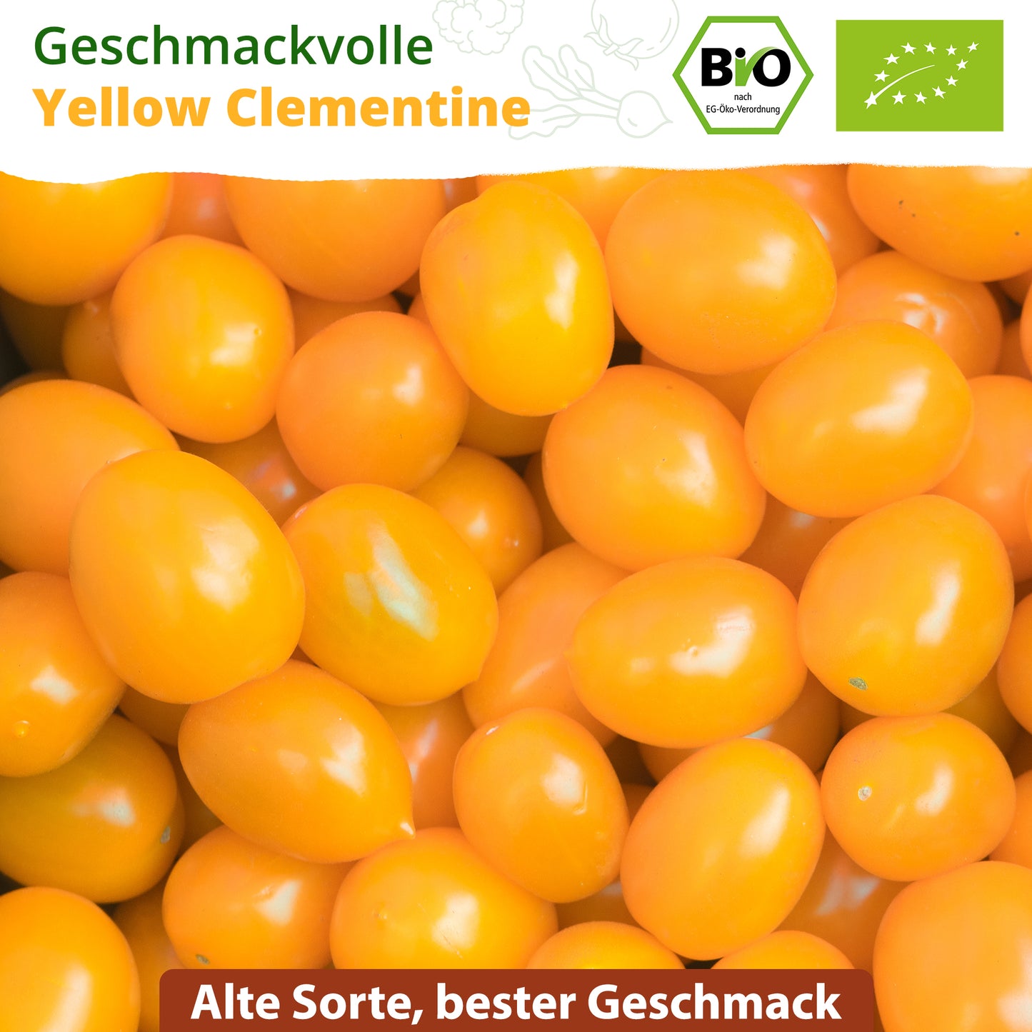 Bio-Tomate (Yellow Clementine)